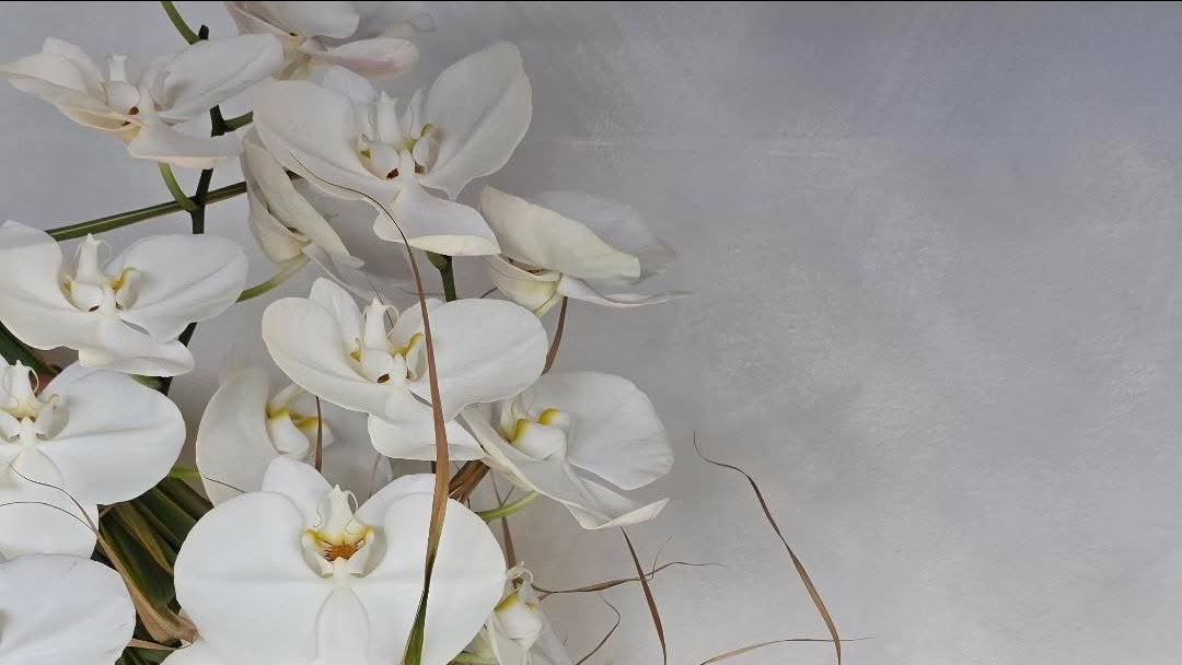 Sympathy & Funeral Flowers